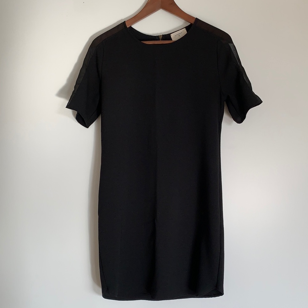 Everly black dress with sheer over sleeves